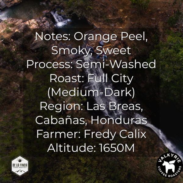 Honduran Finca Las Cascadas Anaerobic Process - Image 3