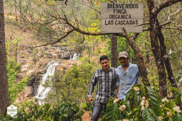 Honduran Finca Las Cascadas Anaerobic Process
