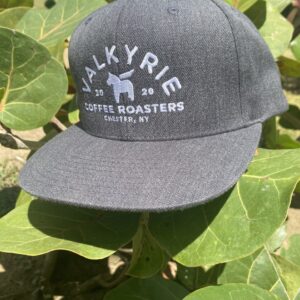 Hat (Valkyrie Embroidered Logo)